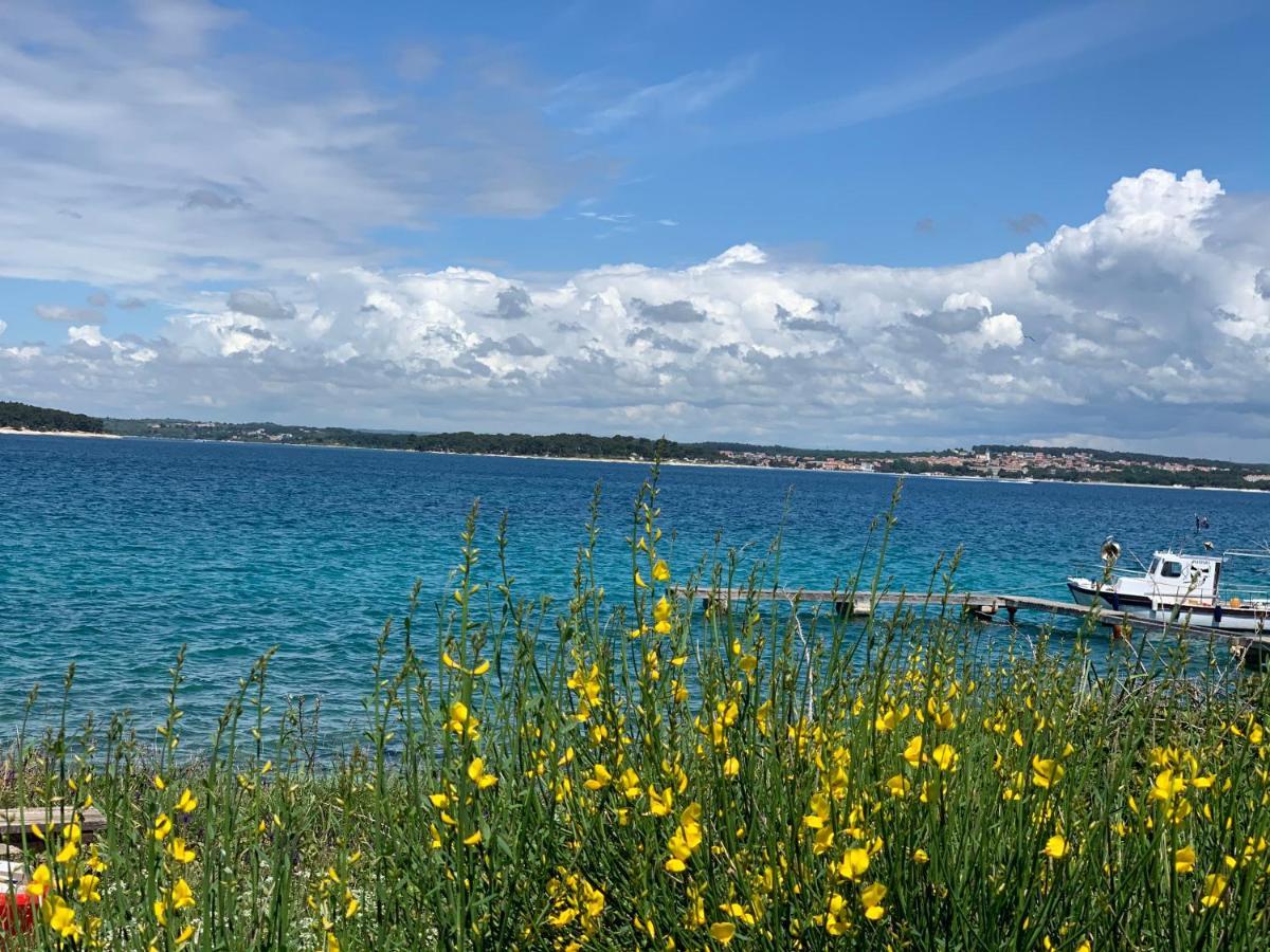 Natura 6 Μεντουλίν Εξωτερικό φωτογραφία